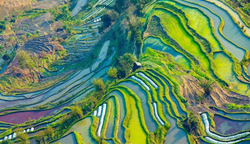 宝妈必备神器：黄陂区产品视频拍摄轻松育儿好帮手