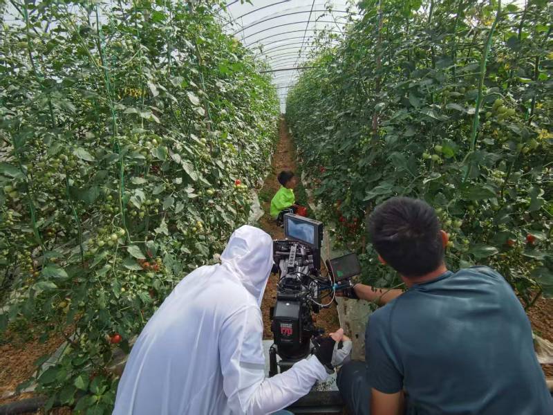 黄陂区产品宣传视频拍摄公司进阶指南，助力品牌抢占传播高地